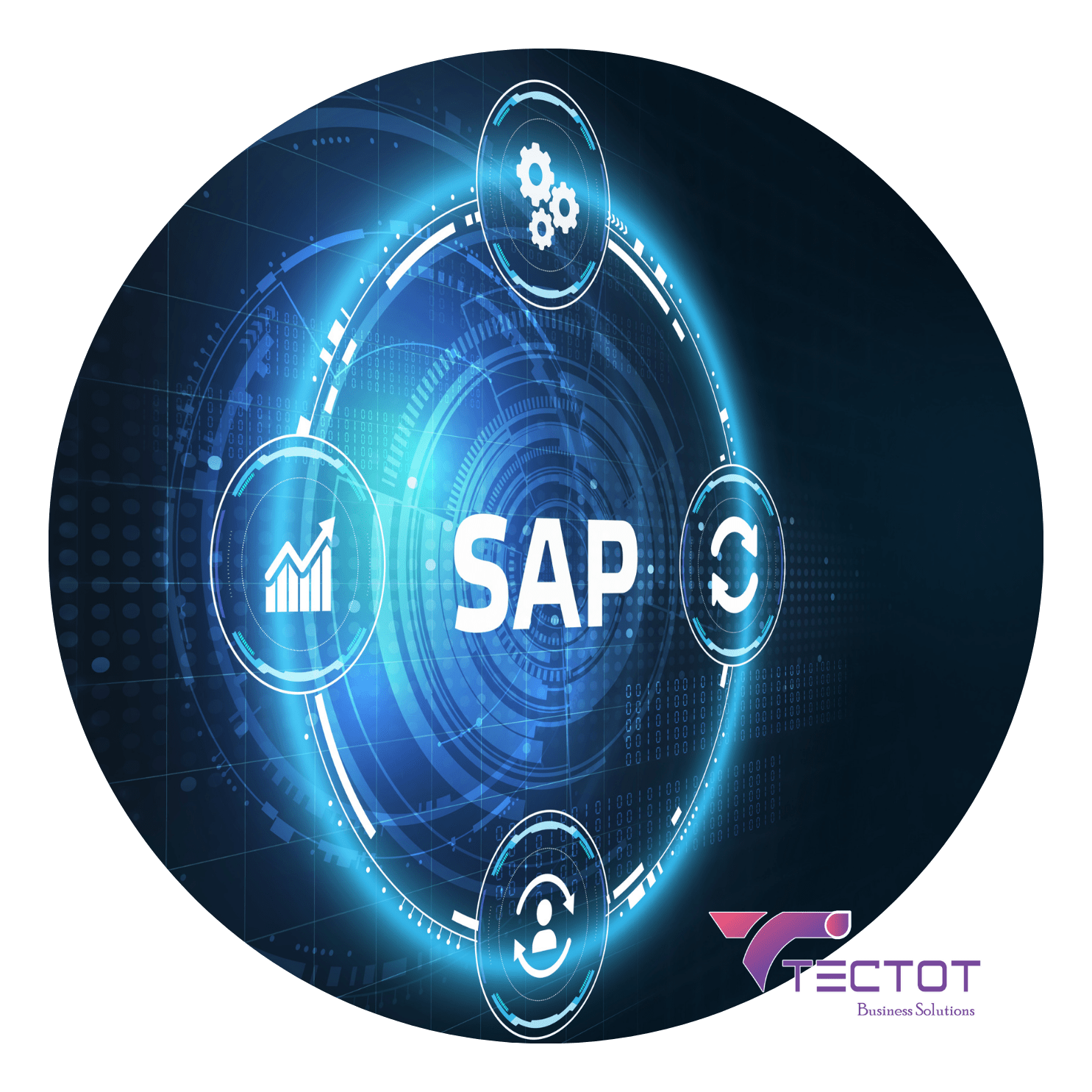 SAP Consultancy service of Tectot